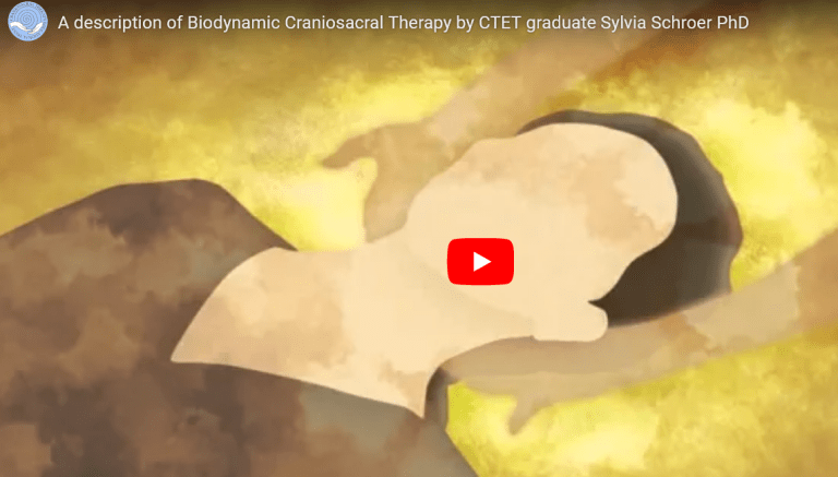 CTET A description of Biodynamic Craniosacral Therapy by CTET graduate Sylvia Schroer PhD